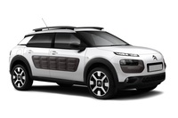 C4 Cactus